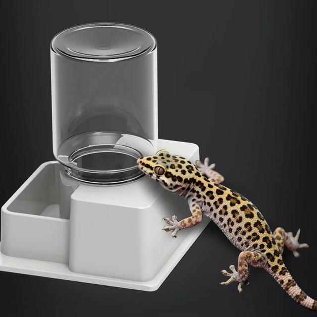 Automatic Reptile Water Dispenser With Bottle Reptile Water Bottle Tortoise Turtle Water Dish for Amphibians Feeding Supplies Automatic Reptile Water Dispenser With Bottle Reptile Water Bottle Tortoise Turtle Water Dish for Amphibians Feeding Supplies