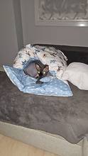 SuperTop Shop | Warm Cat Sleeping Bag with Pillow