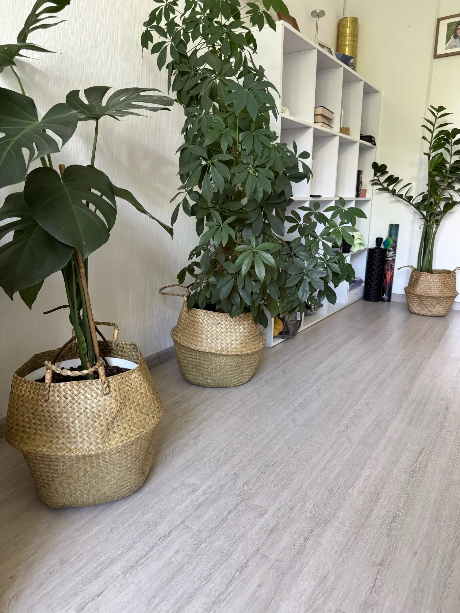 Zerolife-Seaweed Wicker Basket for Dirty Cloth, Laundry Storage Bakset, Hand Woven, FLower Plant Pot, Home Garden Cesta Mimbre photo review