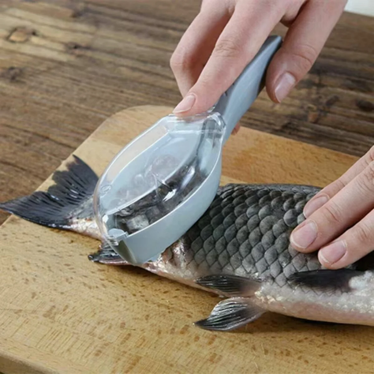 Fish Scale Scraper Tool 1