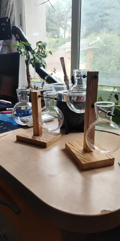 Hydroponic Plant Terrarium Vase photo review