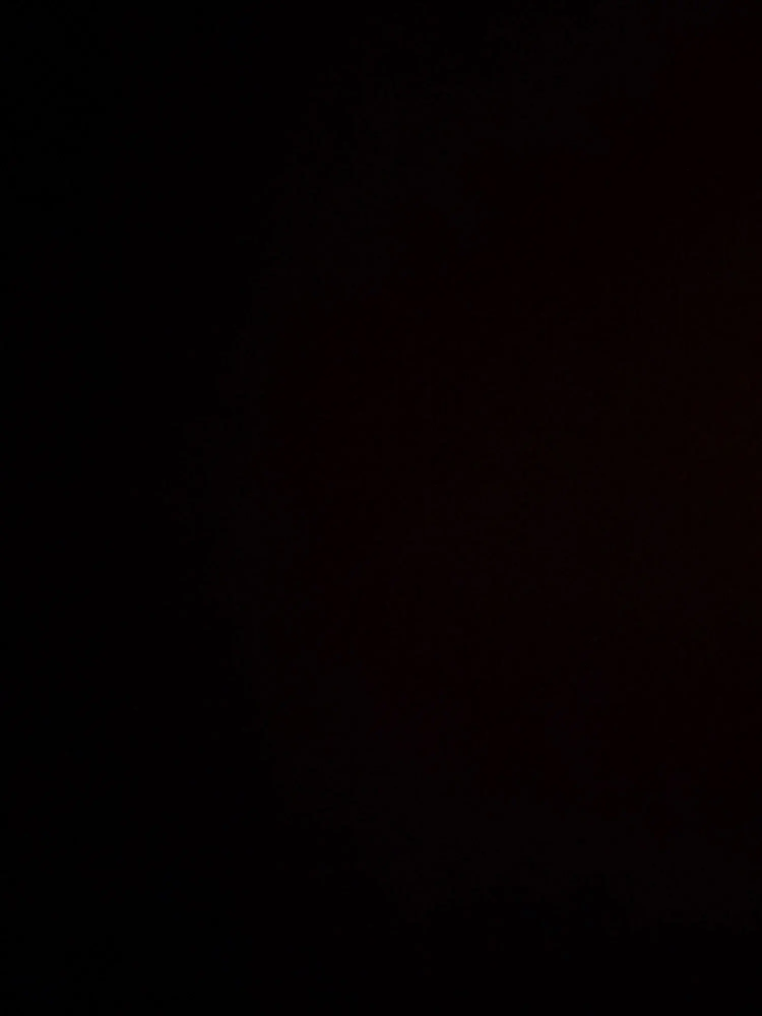 R36 ULTRA photo review