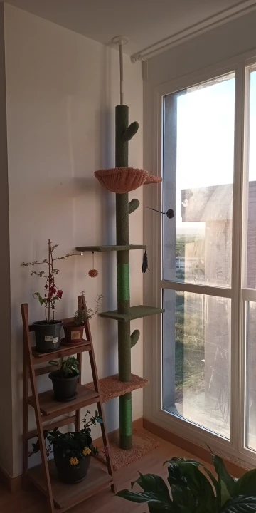 Cactus Cat Tree