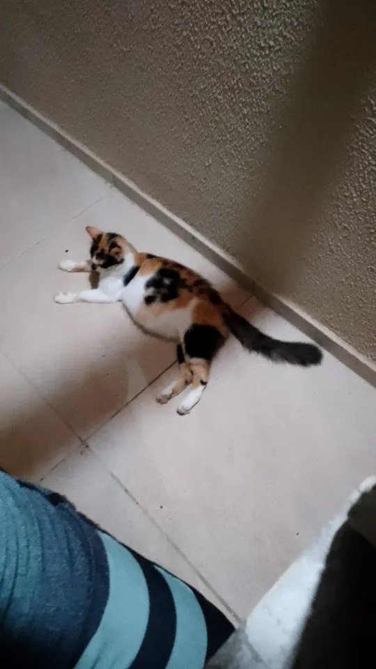 TOMI™ Prestige Trio Gift Set photo review