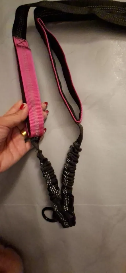 Laisse double pour chien - Stretch