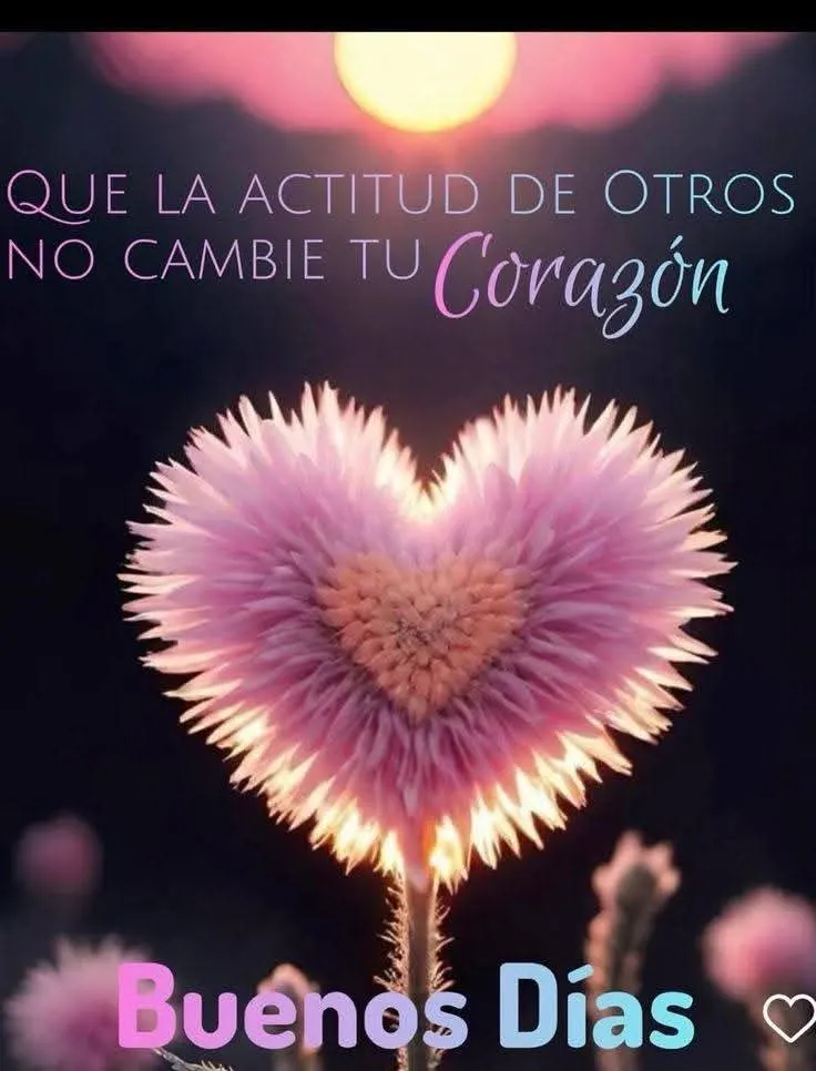 Women's Square Designer Sunglasses photo review