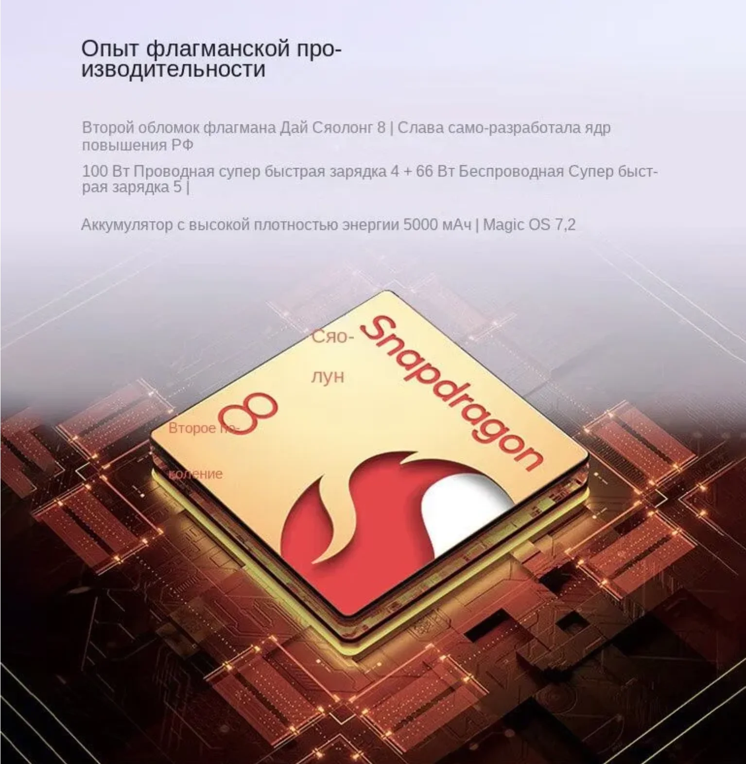 Рисунок 4 - Смартфон Honor 100Pro/NFC/Поддержка