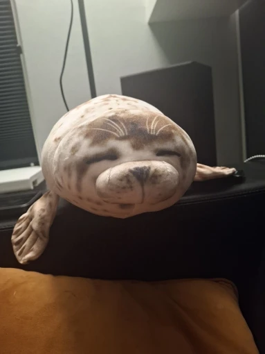 Foquinha Serena Fofeza® de Pelúcia