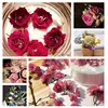 500g Herbarium Moisture Absorbers Reusable Silica Gel Sand Desiccant Reuse Fit Flower Drying DIY Craft Supplies Household 2