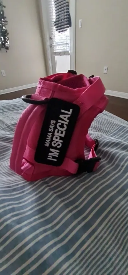 Kitty Commando Harness: Tactical Vest for Small Pets photo review