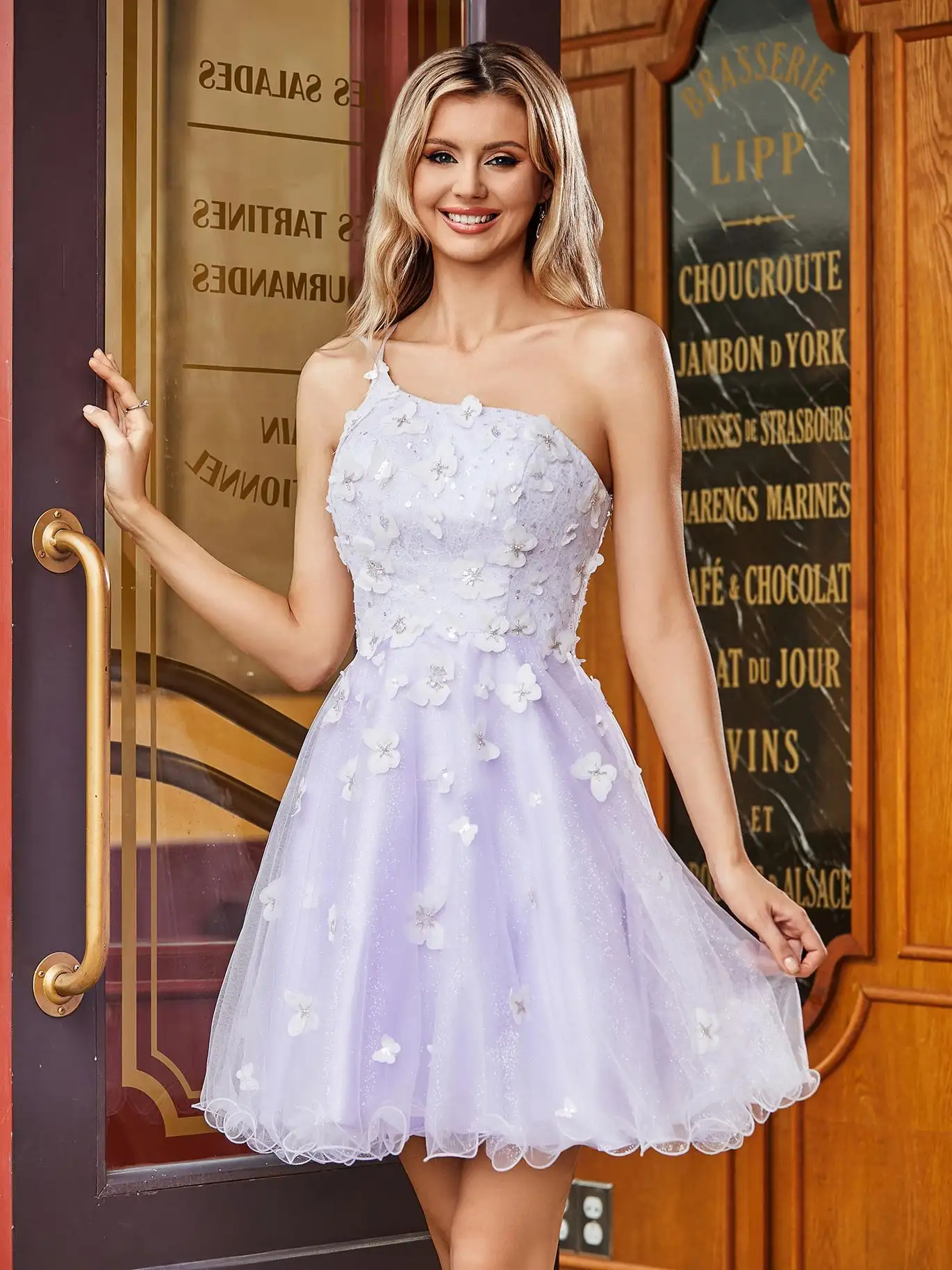 

One Shoulder Butterfly Tulle Homecoming Dress Appliqued Backless Mini Cocktail Party Gown A-line Lace Sleeveless Prom Dress