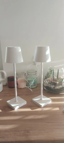 Rechargeable LED Table Lamp Touch Switch 3 Levels Dimmable Desk Lights Bar Club Dinner Creative Decorative Ambient Lighting photo review