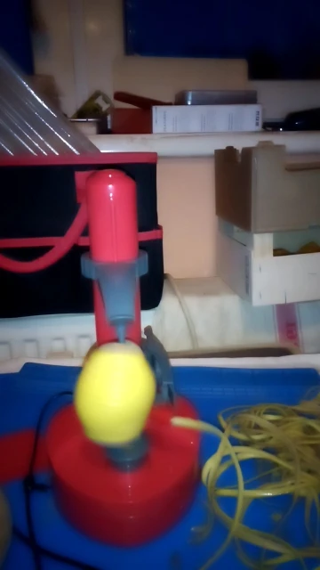 Peel Ease: Multi-Purpose Electric Vegetable and Fruit Peeler photo review