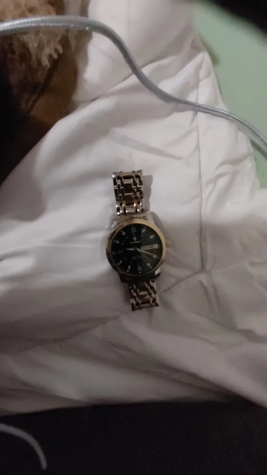 POEDAGAR Luxury Watch for Men photo review