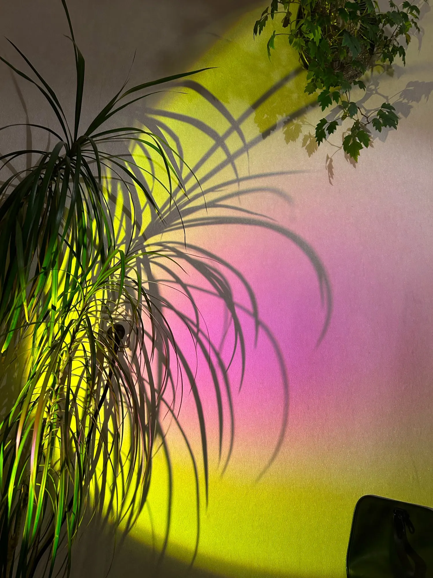 LED Sunset Lamp, customer photo