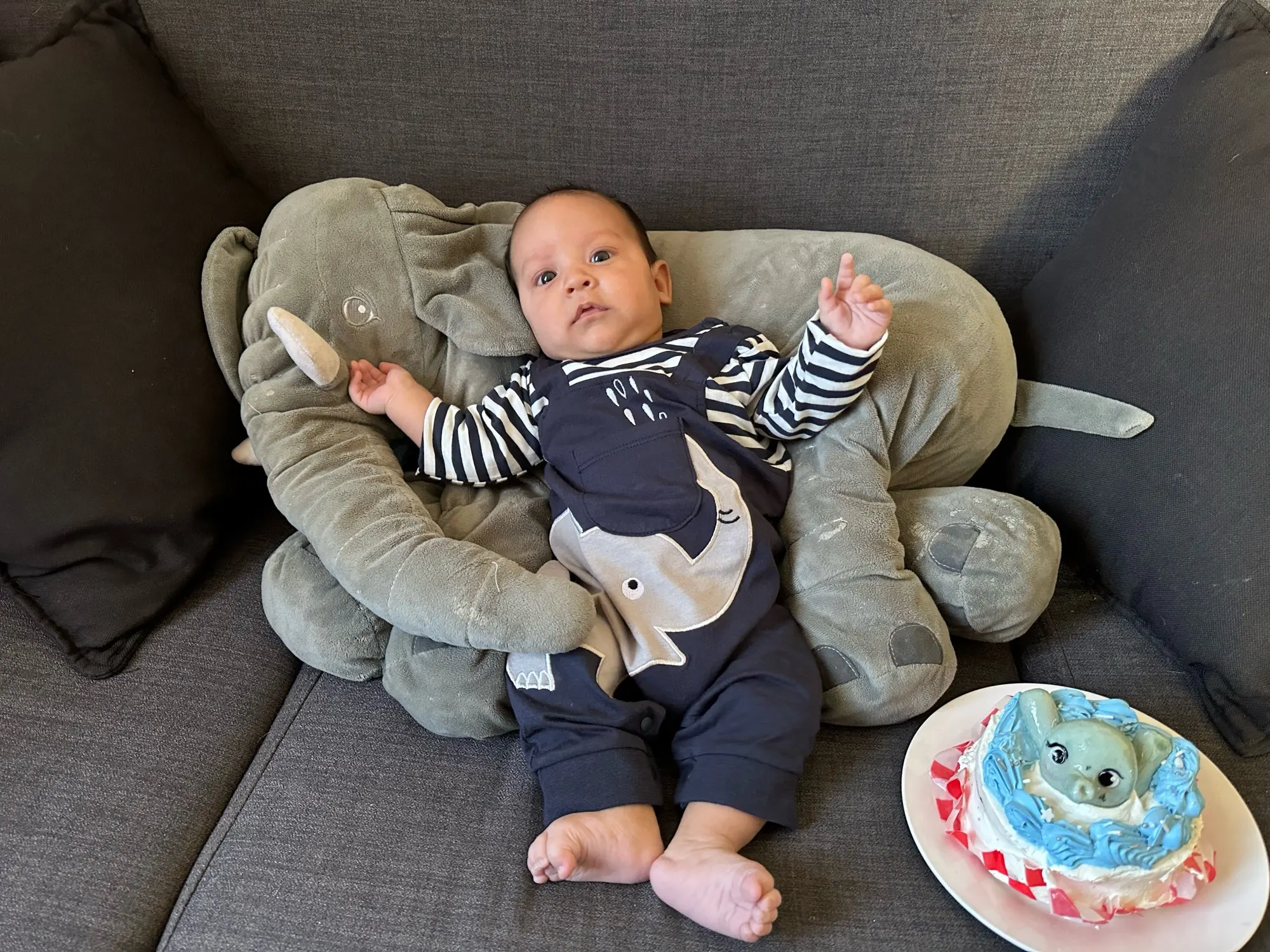 Striped Elephant Romper photo review