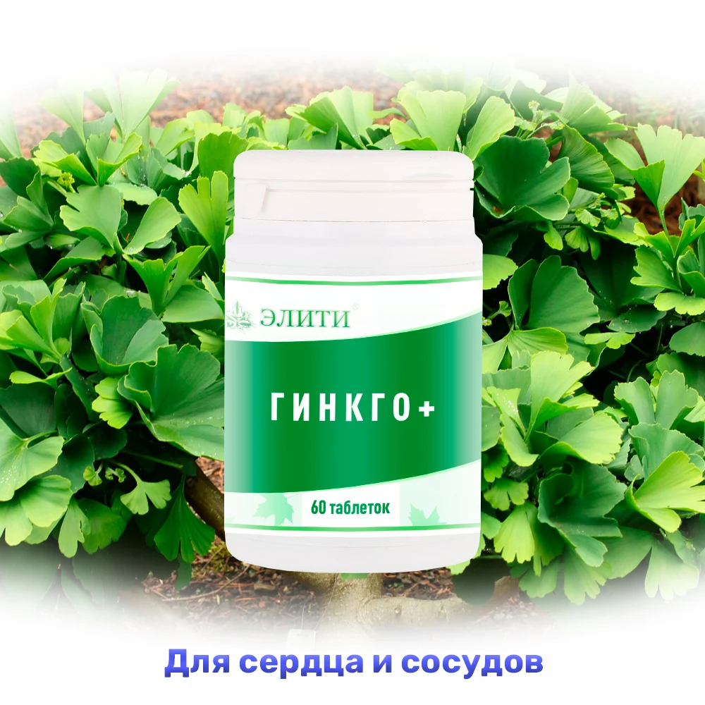 ГИНКГО+, гинкго билоба, лопух корень, для сердца, для сосудов, против тромбов, улучшает мозговое кровообращение