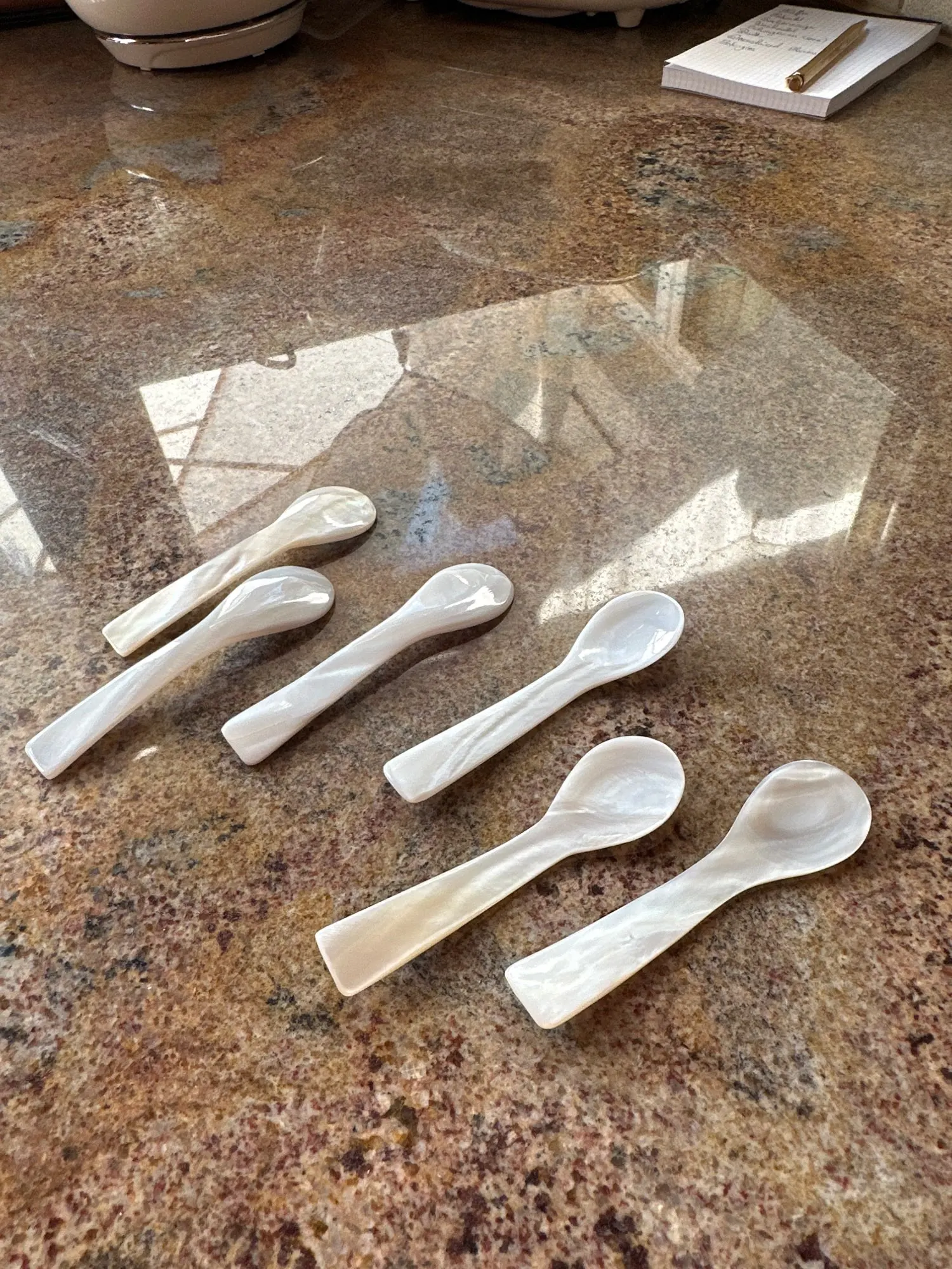 Natural Shell Spoon, customer photo