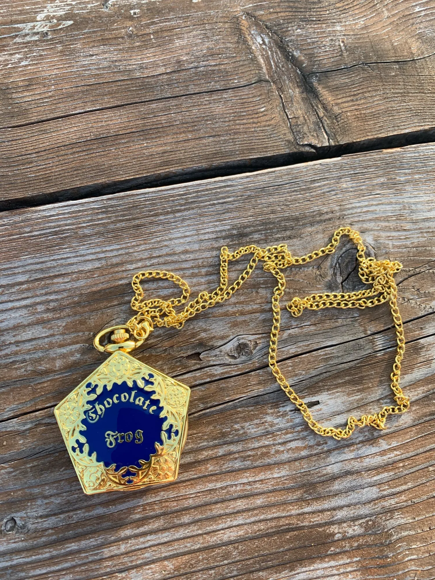 Chocolate Frog Pocket Watch Potter Premium Store