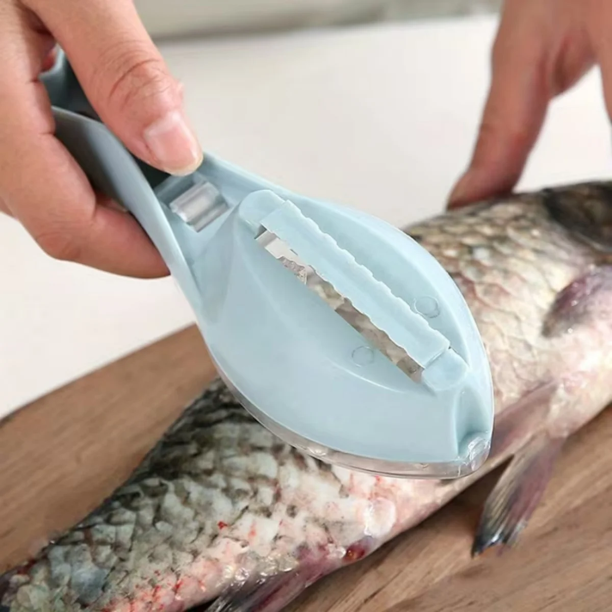 Fish Scale Scraper Tool 4