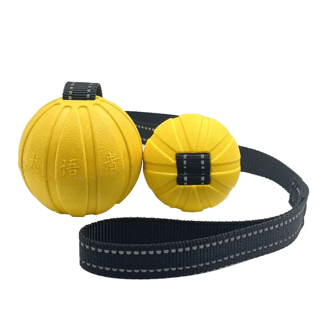 Dog Toy Balls On a Rope for Small Medium Large Dogs Chewers, Durable Interactive Ball for Training Dogs, EVA Foam Ball Floats 5