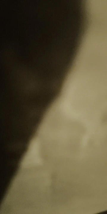 Essager Fast Charging For iPhone Usb Cable 11 12 13 Pro Max Mini Xs Xr X SE 8 7 6 Plus 6s 5 5s 2.4A Wire For iPhone Charger Cord photo review