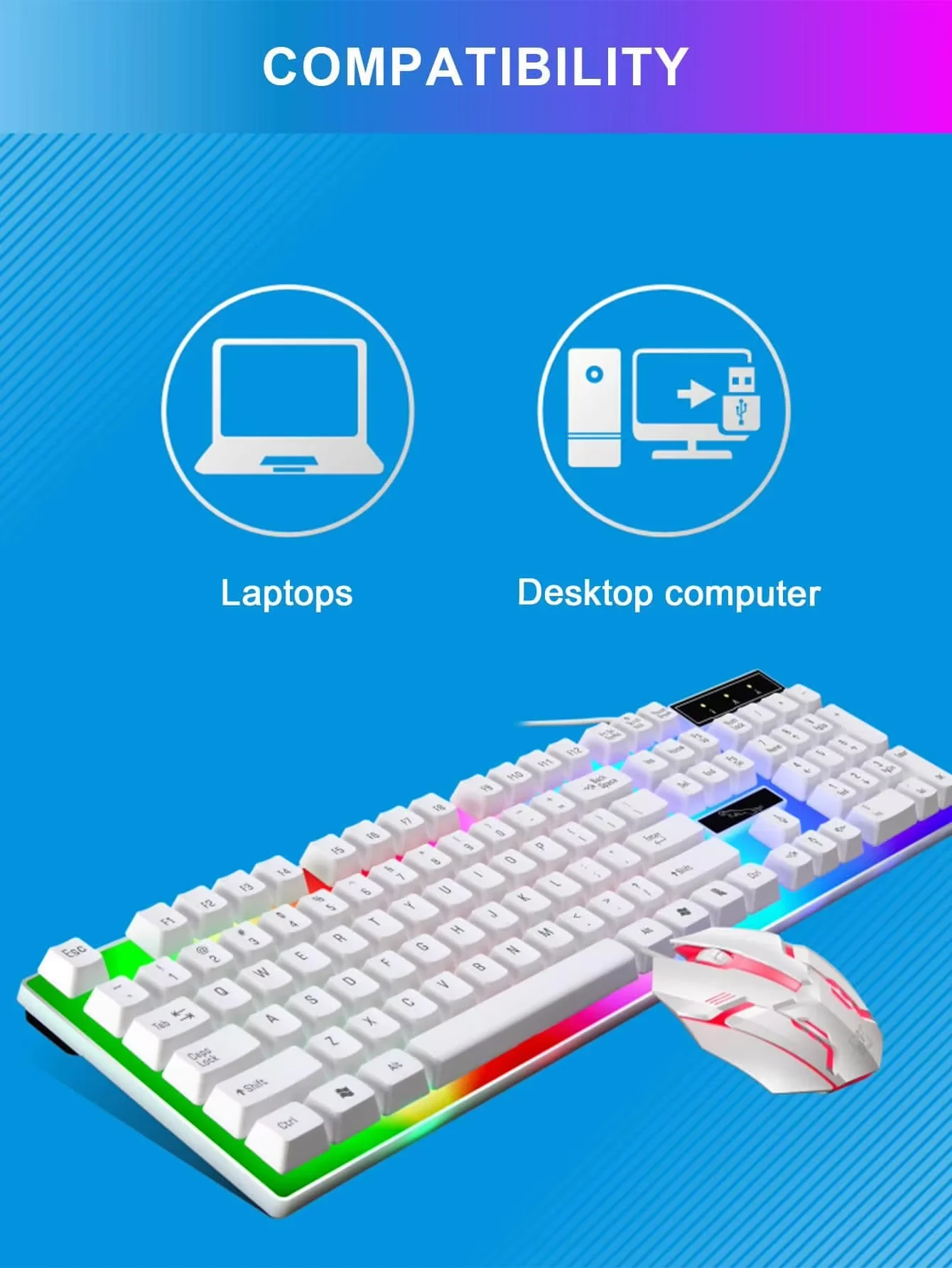 dsc-products