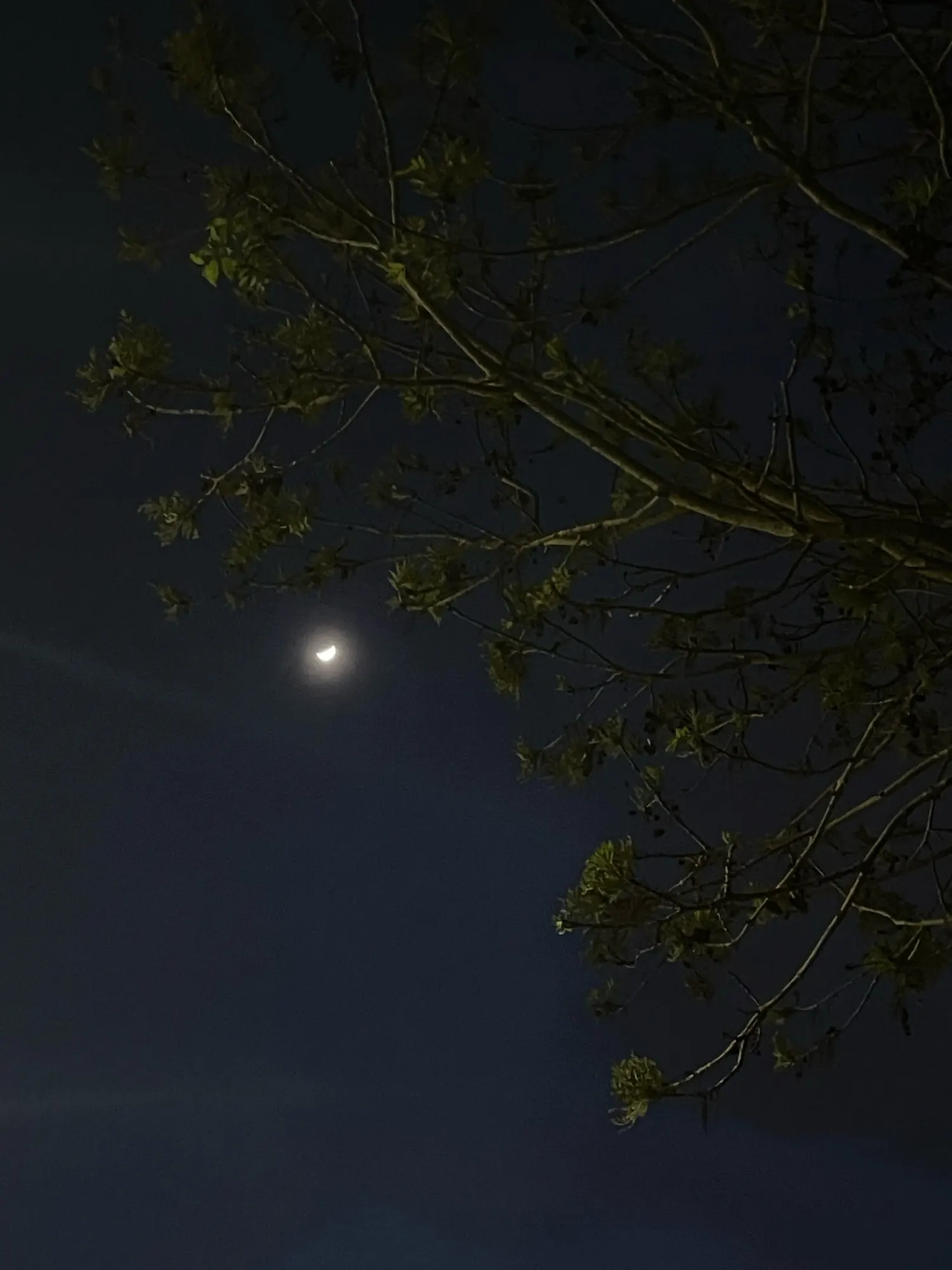 Thin Plain Shawls  Rayon Headscarf photo review