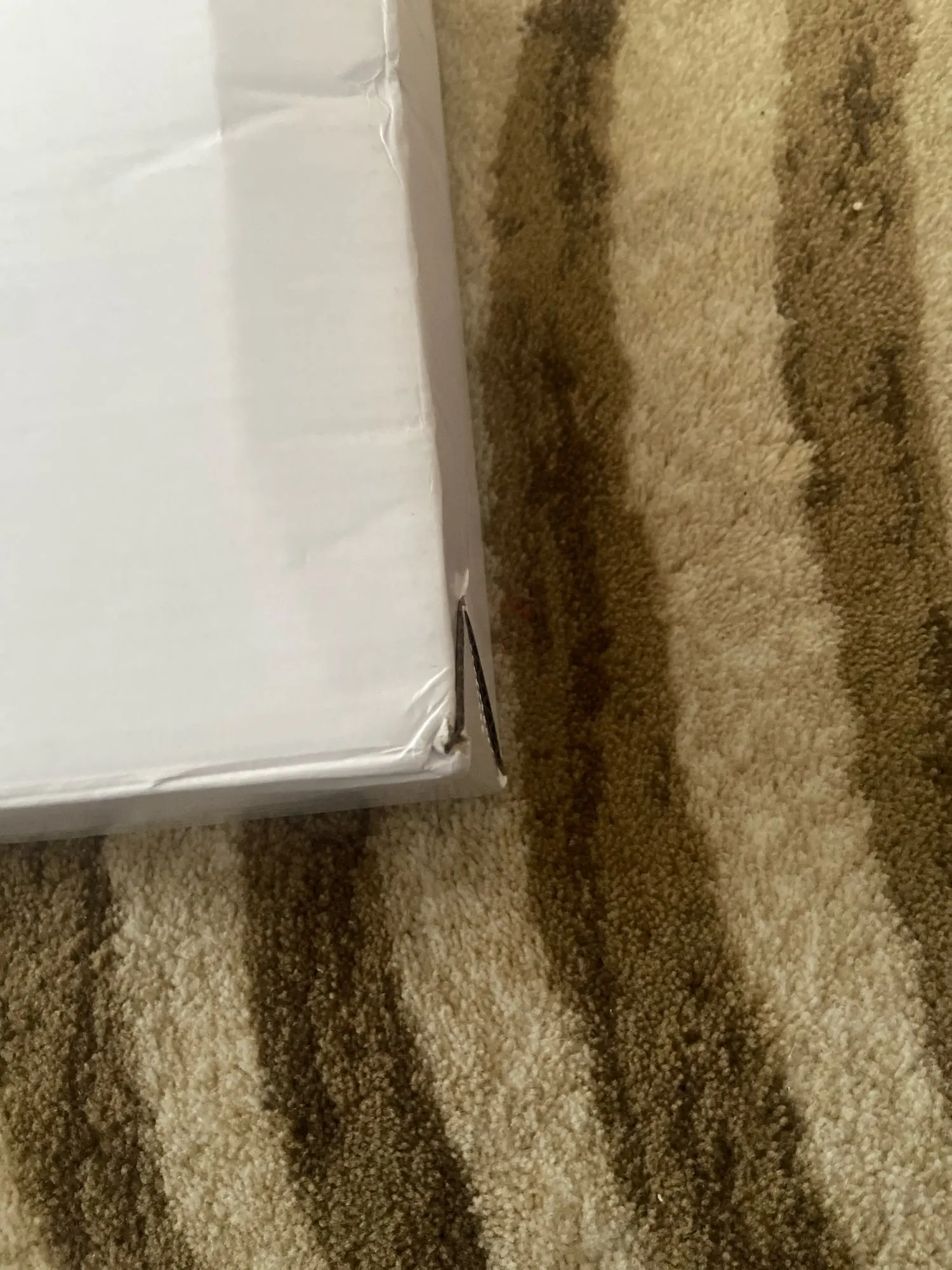 24K Dubai Gold Color Bangles for Women photo review