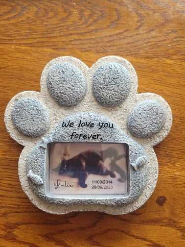 Paws of Remembrance, Artistic Resin Pet Memorial Tombstone for Cherished Companions photo review