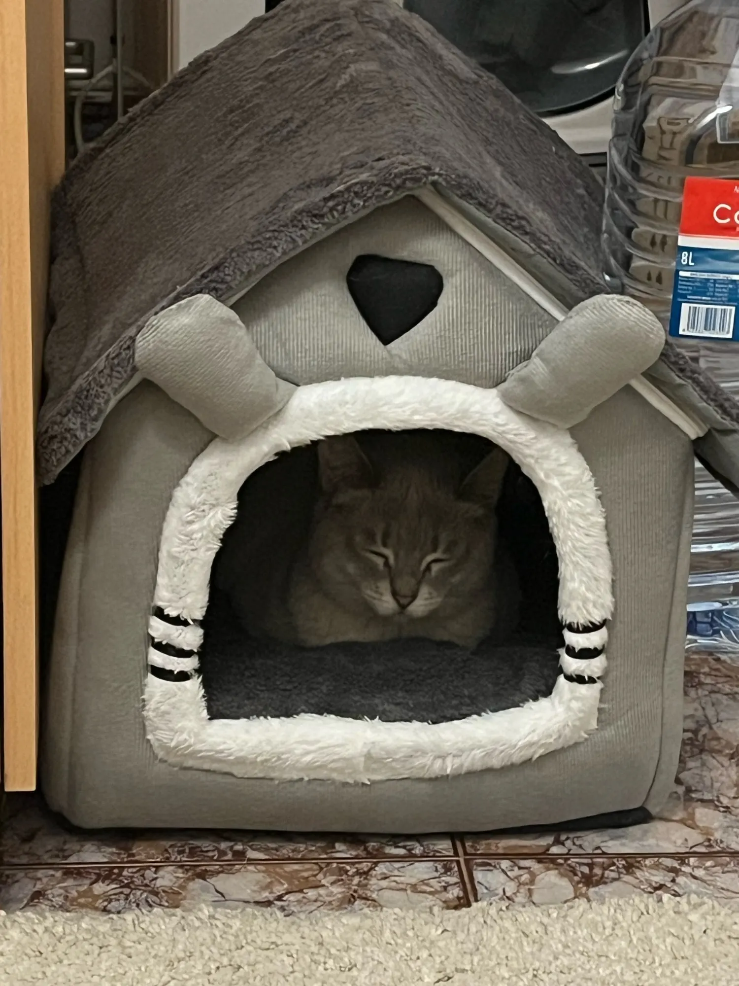Maison chaude pour chien et chat – Lavable, coussin amovible, toutes saisons – Chenil intérieur pour animaux de petite et moyenne taille photo review