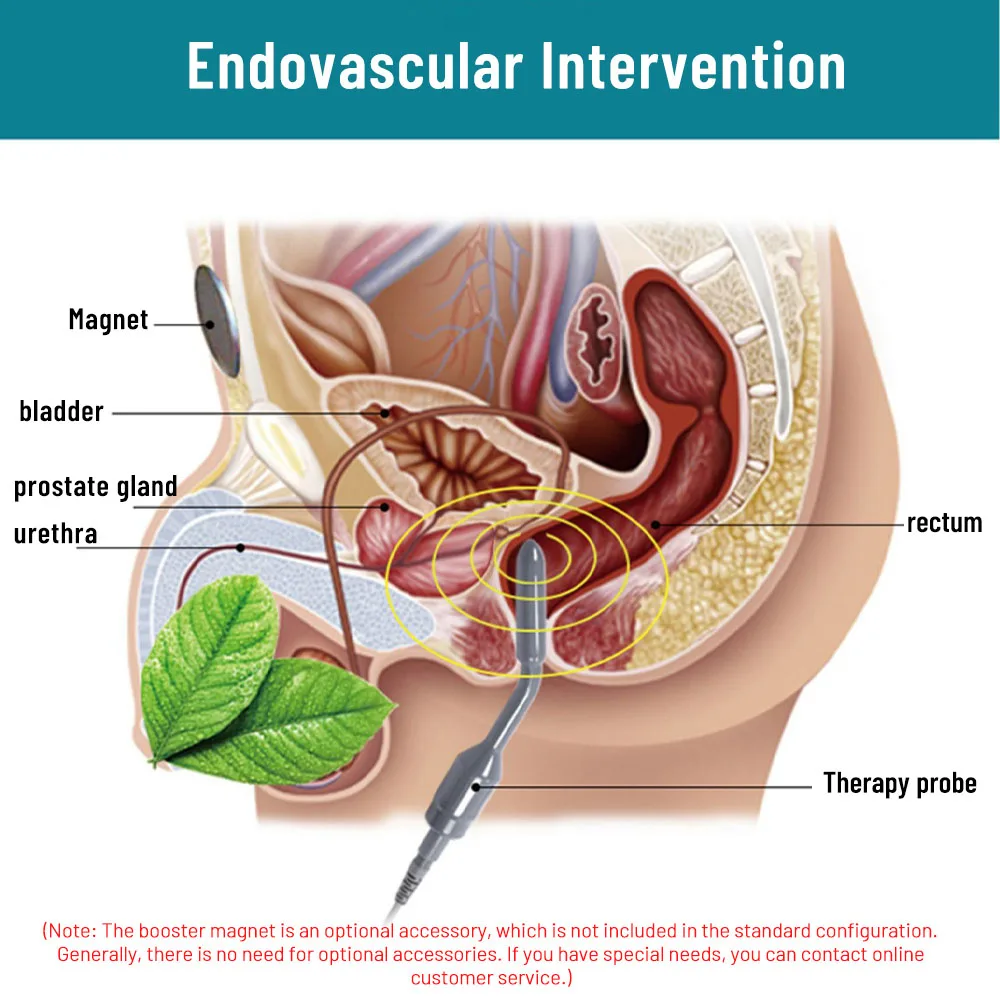 Yalangoch Barbi va Ken qogirchoqlari Fashistik porno video onlayn