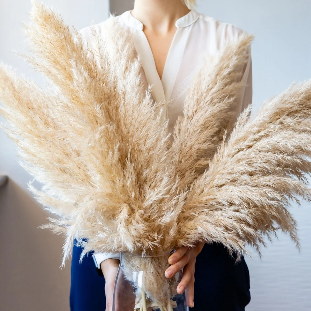 secas naturais grama pampas fofo buquê boho