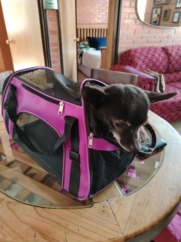 Transportadora Para Perro