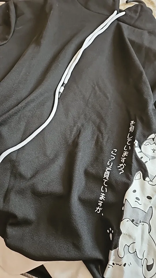 Hooded Sweatshirt - Harajuku Aesthetic photo review