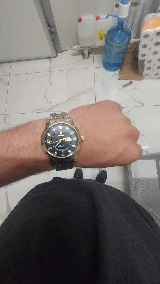 POEDAGAR Luxury Watch for Men photo review