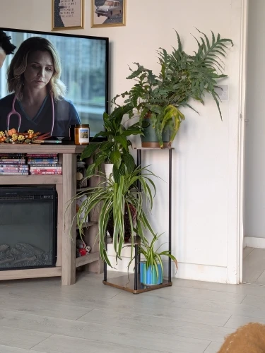 4/5/6 Tier Plant Stand Indoor Metal Plant Shelf,Indoor And Outdoor Display Racks,for Multiple Plants Small Corner Flower Stan photo review