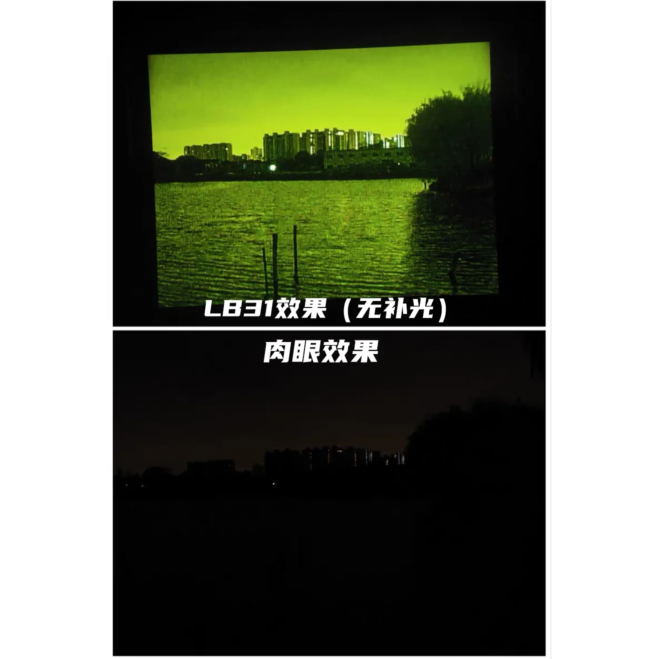 Alexi LB31 Binocular Digital NVG