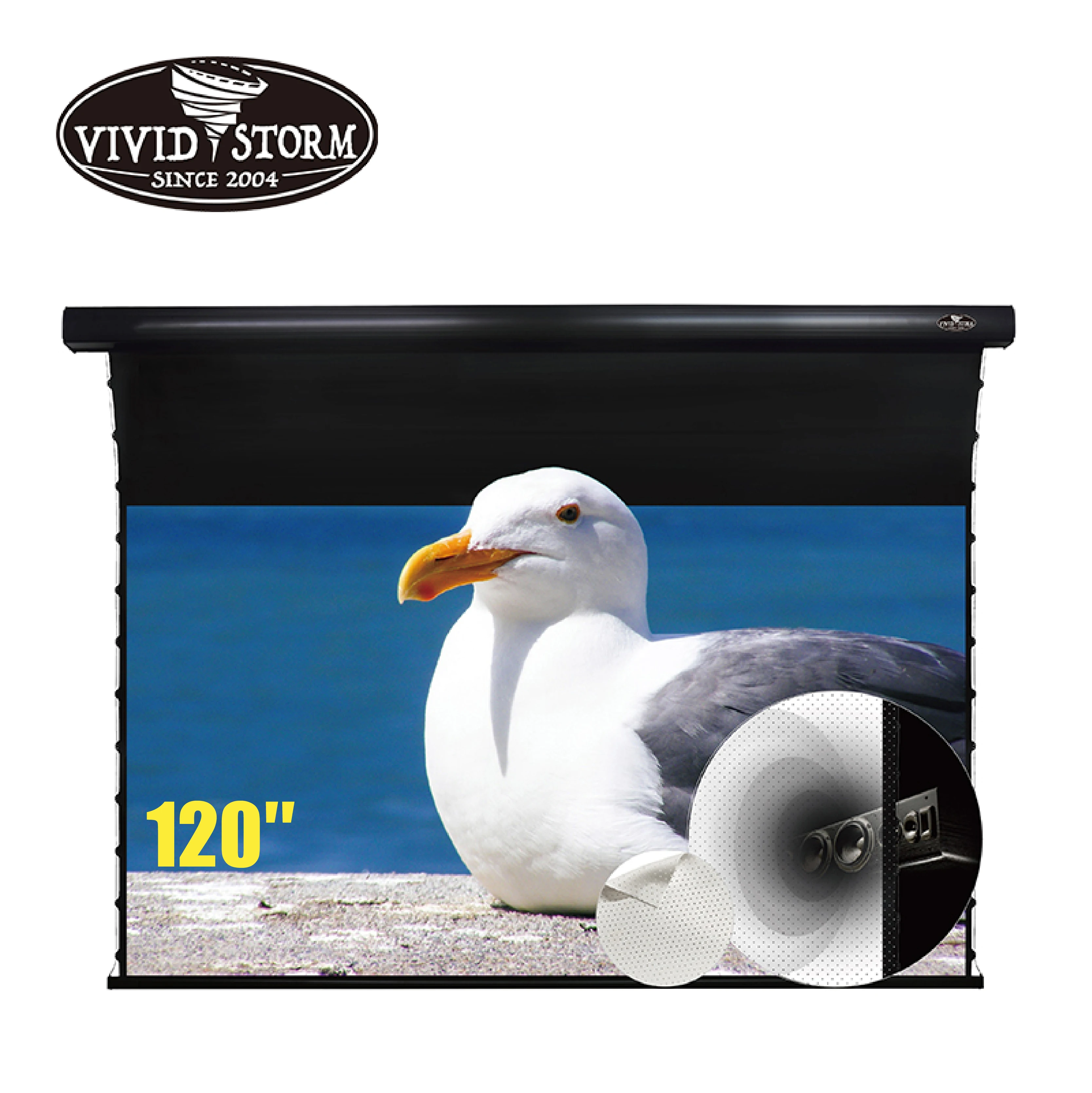 Vividstorm 120 Pollici White Cinema Perforato Slimline Motorizzato Tensione Drop Down Schermo Del Proiettore Per Home Movie Theater