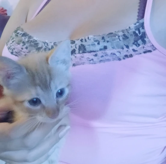 Cuteandpsycho Vintage Leopard Patchwork Camisole Sleeveless Y2K Sexy Bow Pink Clothes Fashion Retro 90s Women's Crop Outfits photo review