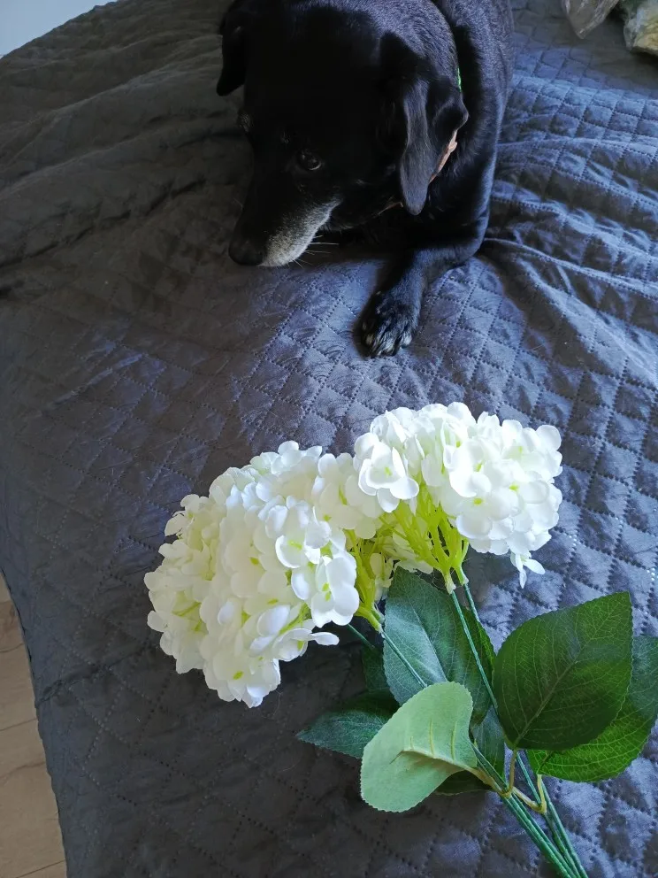 5 Heads Hydrangea Bouquet Silk Artificial Flowers for Party Wedding Living Room Decoration Accessories Home Decor Fake Flowers photo review