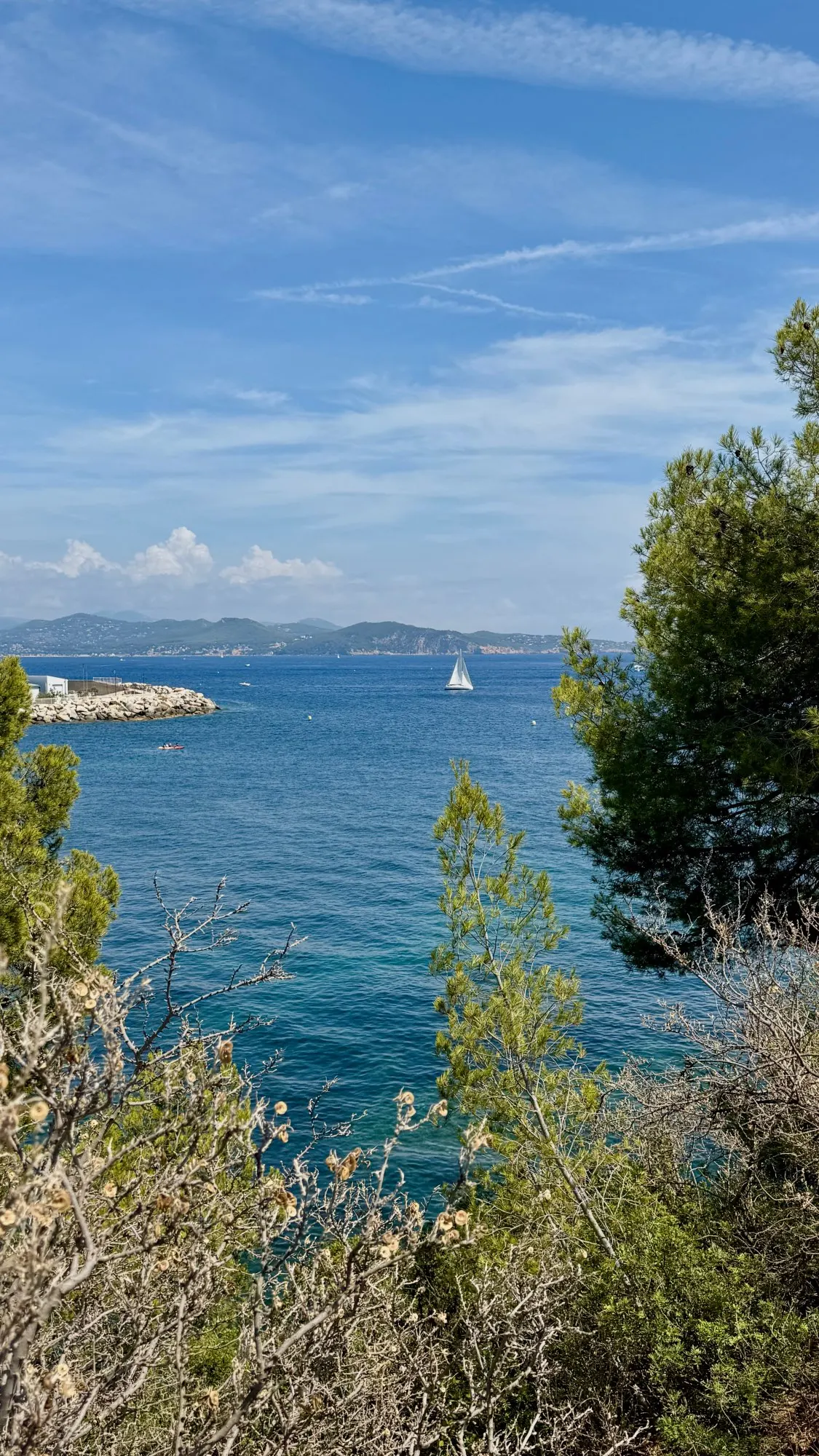 Elegant V-Neck Summer Maxi Dress for Effortless Style photo review