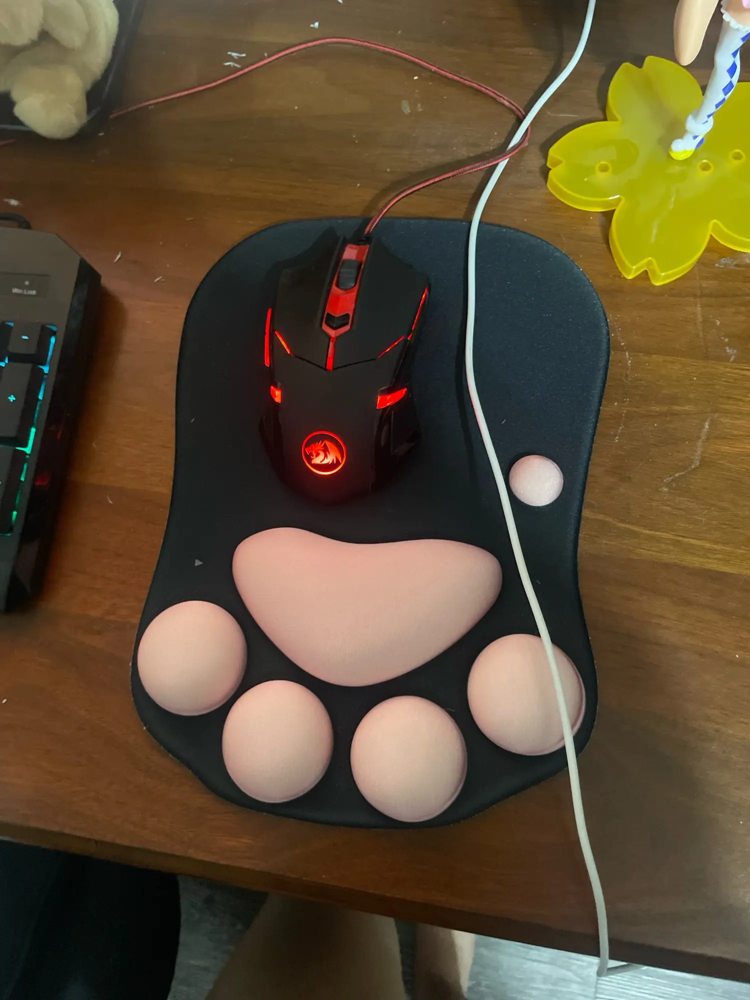 Customer review photo