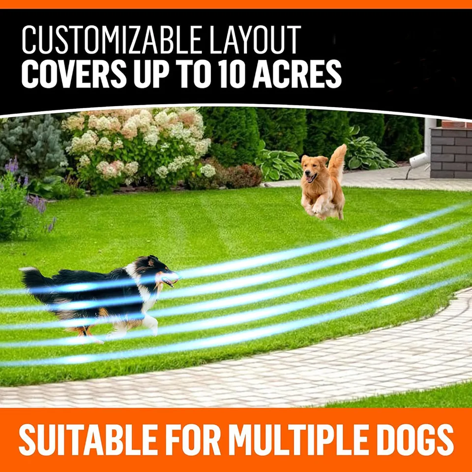 Cloture Pour Chien Exterieur Electric Fence For Dog, Aboveground