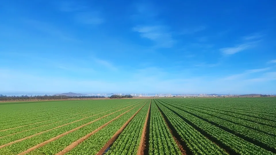 Baseus Power Bank 10000mAh with 22.5W PD Fast Charging Powerbank Portable Battery Charger For iPhone 15 14 13 12 Pro Max Xiaomi photo review