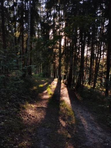 Fleece-gefütterte Strumpfhosen für stilvolle Wärme im Winter photo review