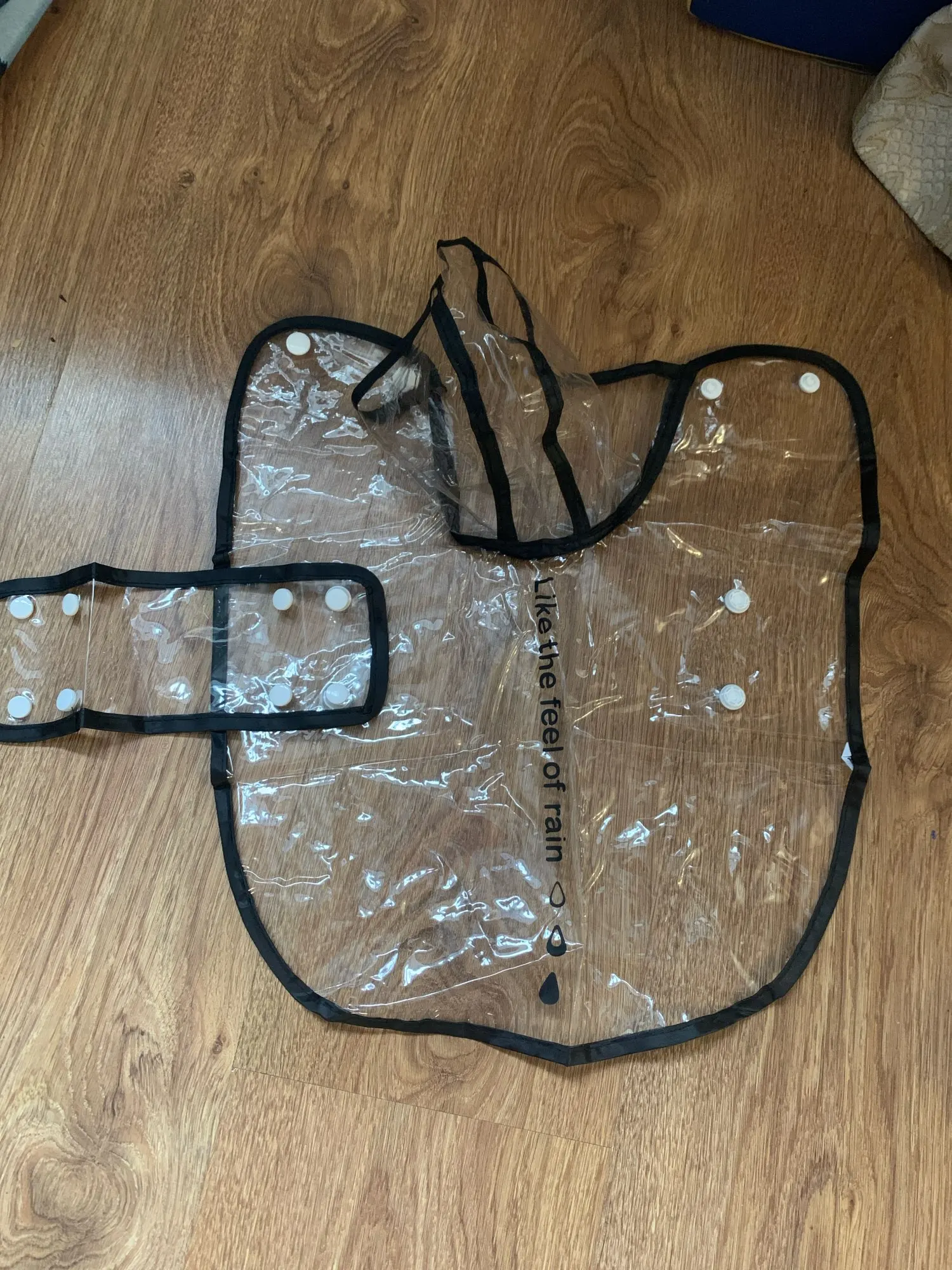 Rain Paw Chic: Waterproof Transparent Raincoat for Pets photo review