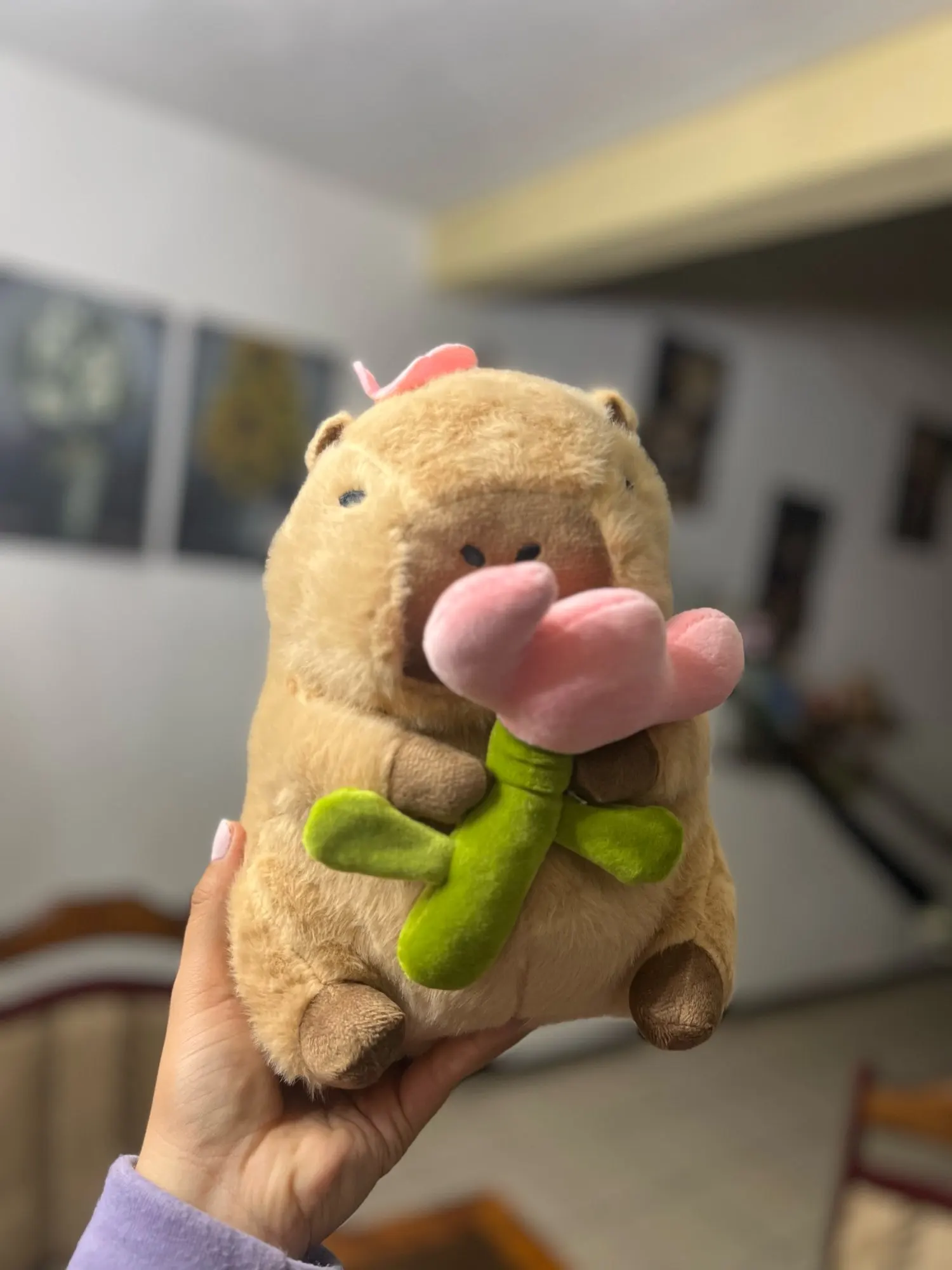 Kawaii Capybara Plushies - Bread & Flower Edition photo review