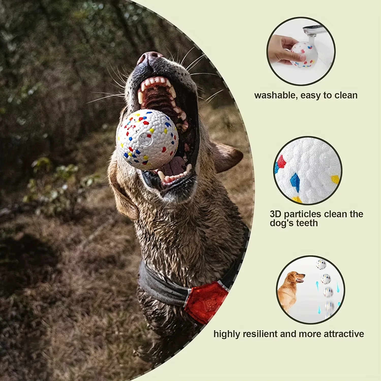 Bite-Resistant Dog Ball – High-Elasticity Chew Toy for Small & Large Dogs 3