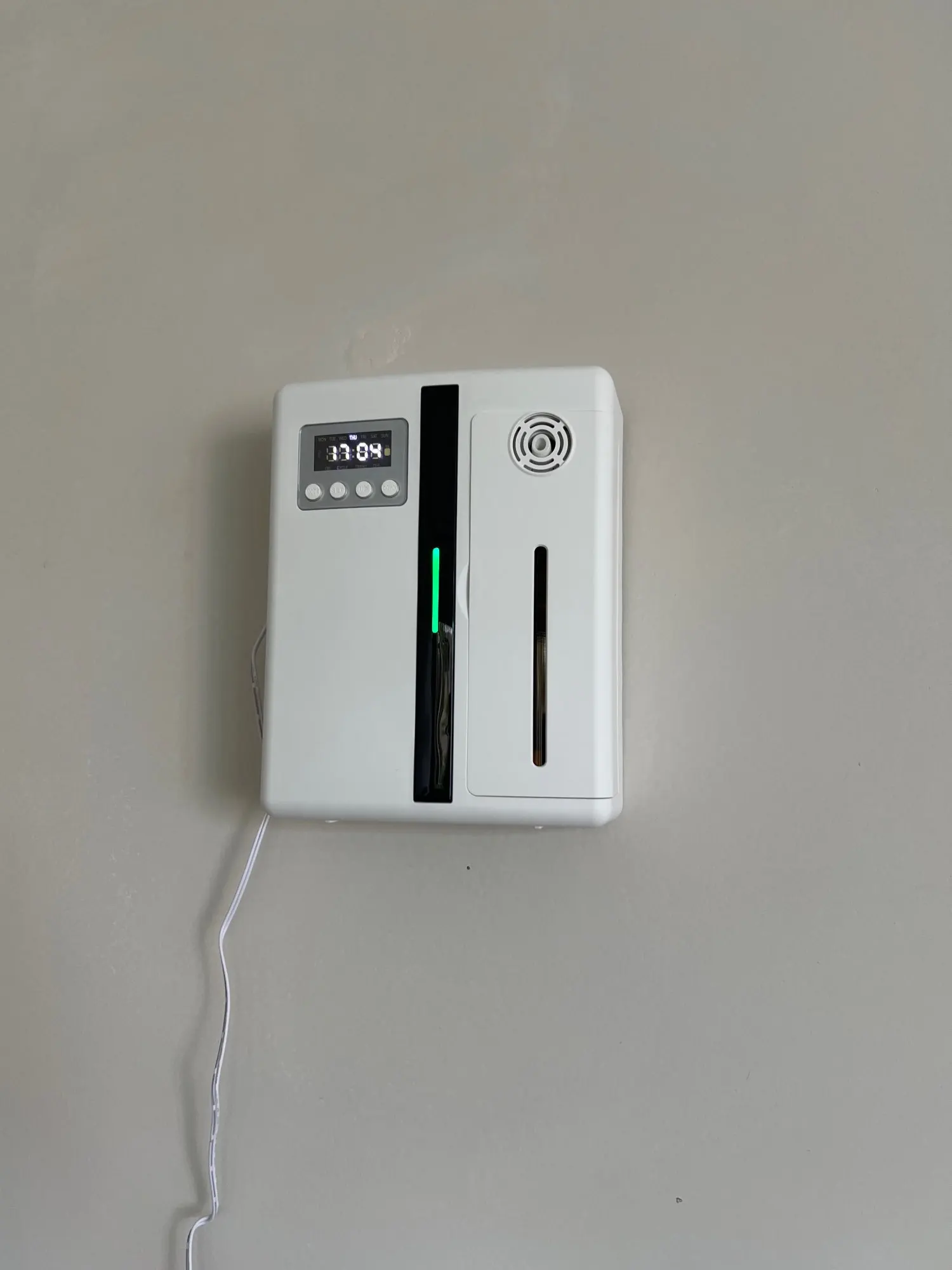리뷰 사진